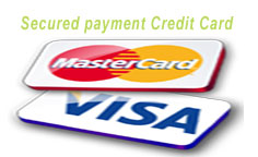 Buy with Credit card Mini Job Script